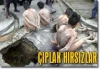 prison break izleyip kaçmak için hapse girmek / #118839