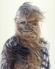 wookiee / #127832