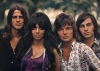 shocking blue / #131975