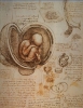 leonardo da vinci nin icatlari / #56452