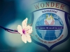 wonder ınternatıonal / #134710