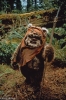 ewok / #61583