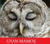 uyan mamoş / #129632